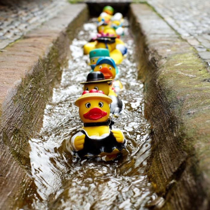Duck, Duck, Goose: How to Play with Pardot Snippets
