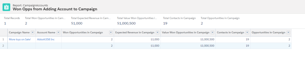 Accounts as Campaign Members 6