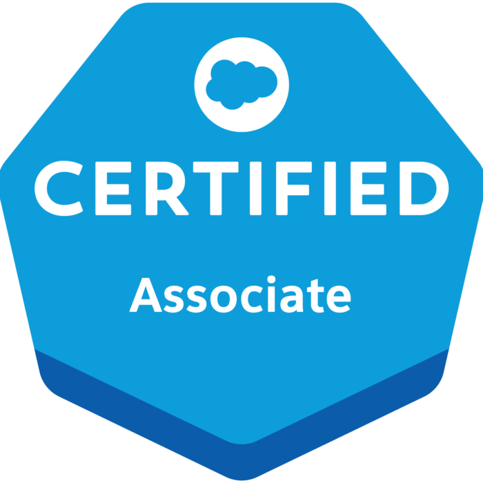 Reliable Salesforce-Associate Exam Testking