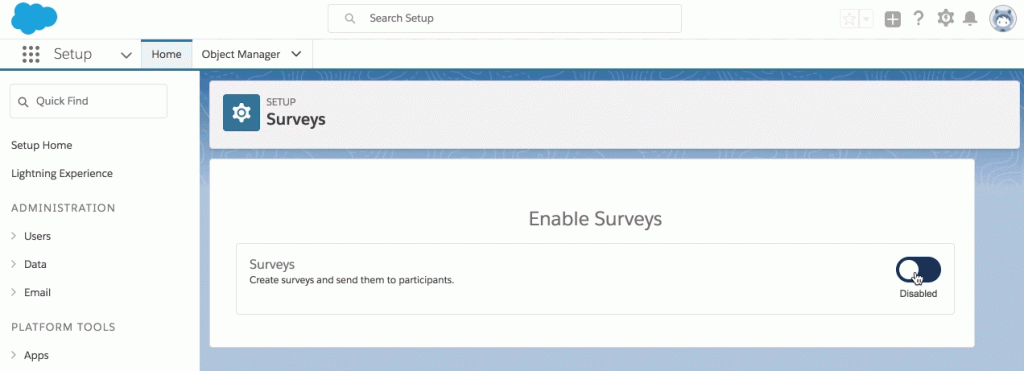 Enable Surveys within your Org