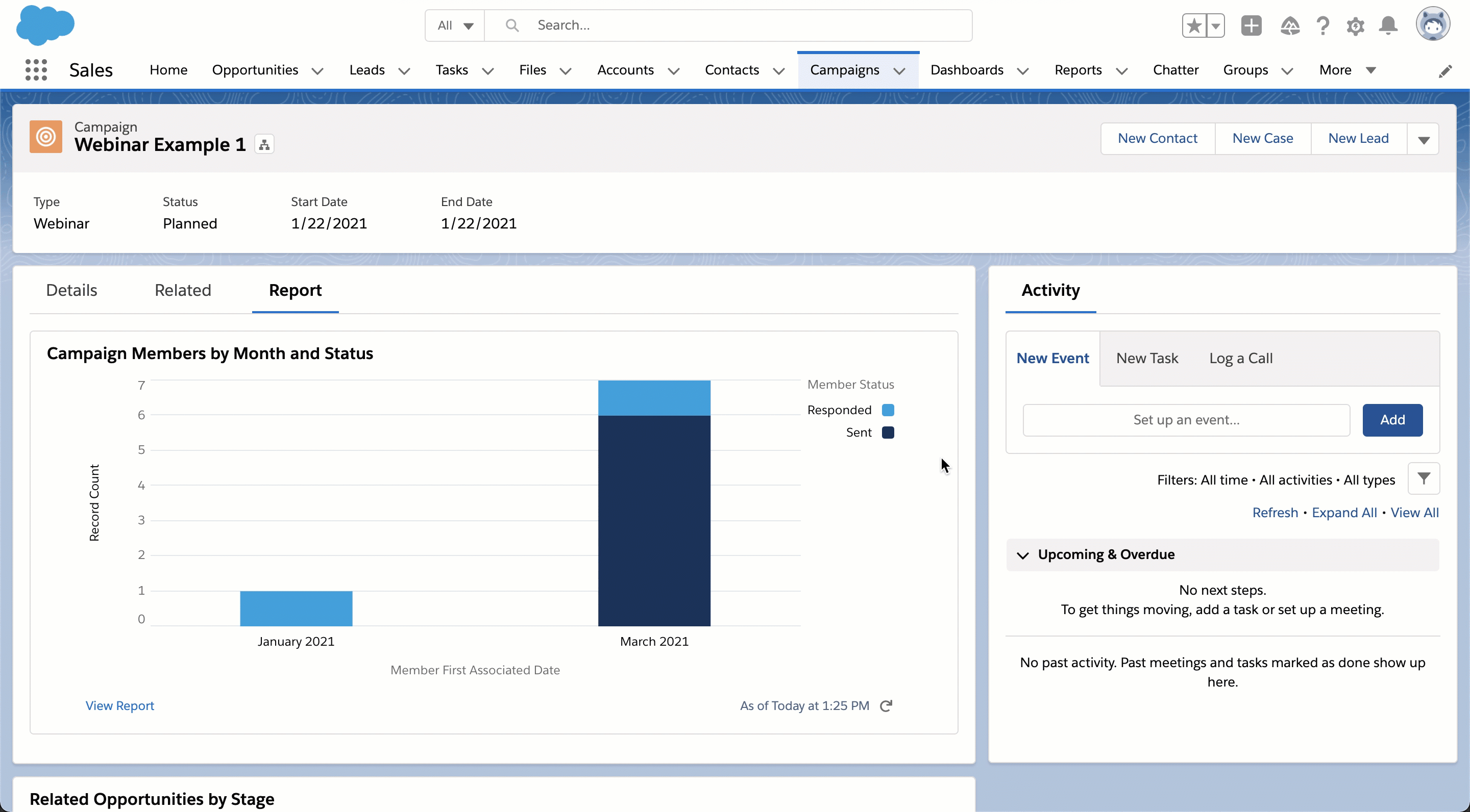 Add Reports to your Campaign Page Layout Final Example 1