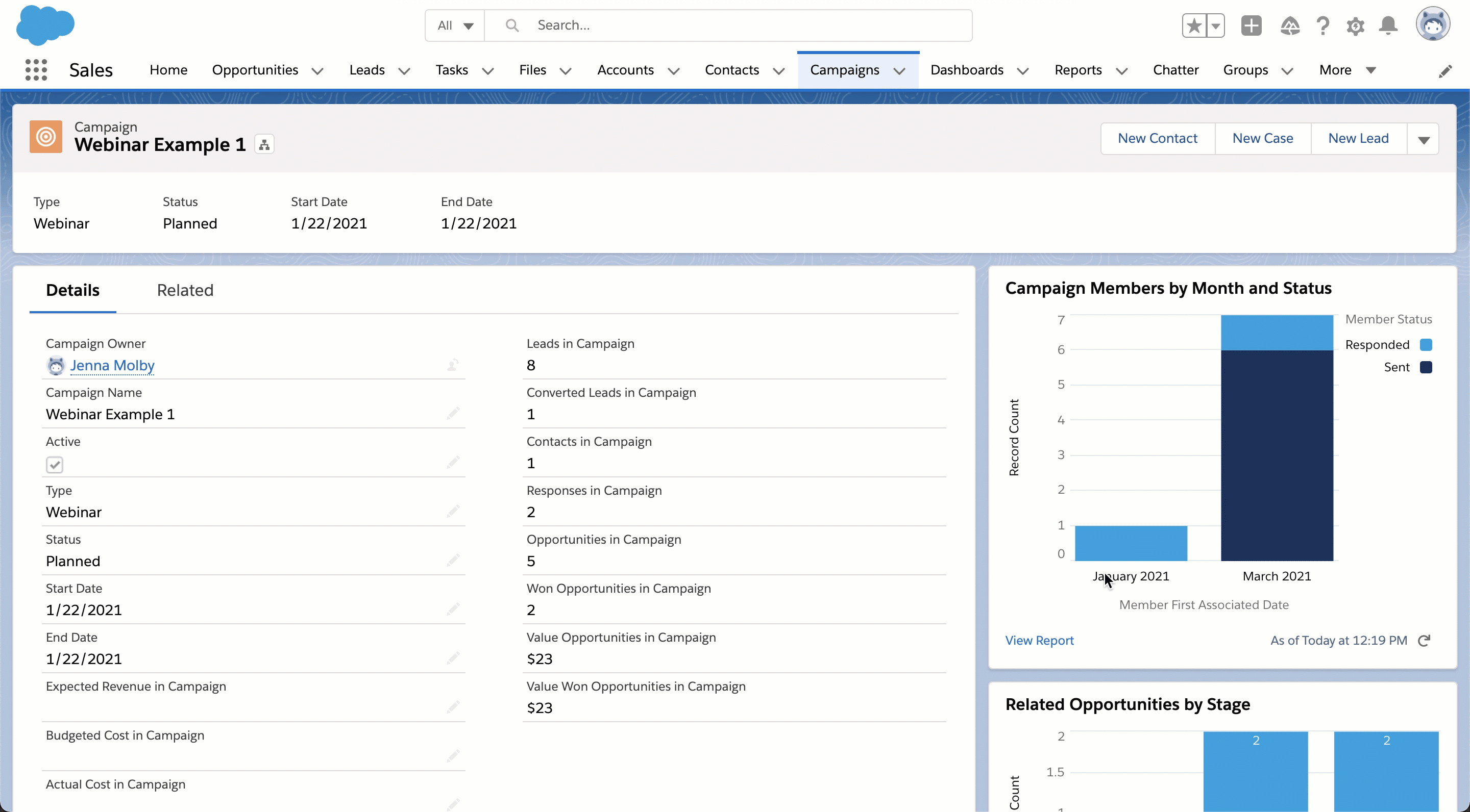 Add Reports to your Campaign Page Layout Final Example 2