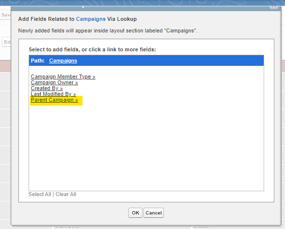 Lookup selection for Parent Campaign 