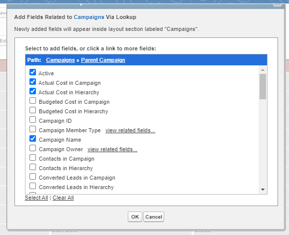 Selected fields on the Parent Campaign