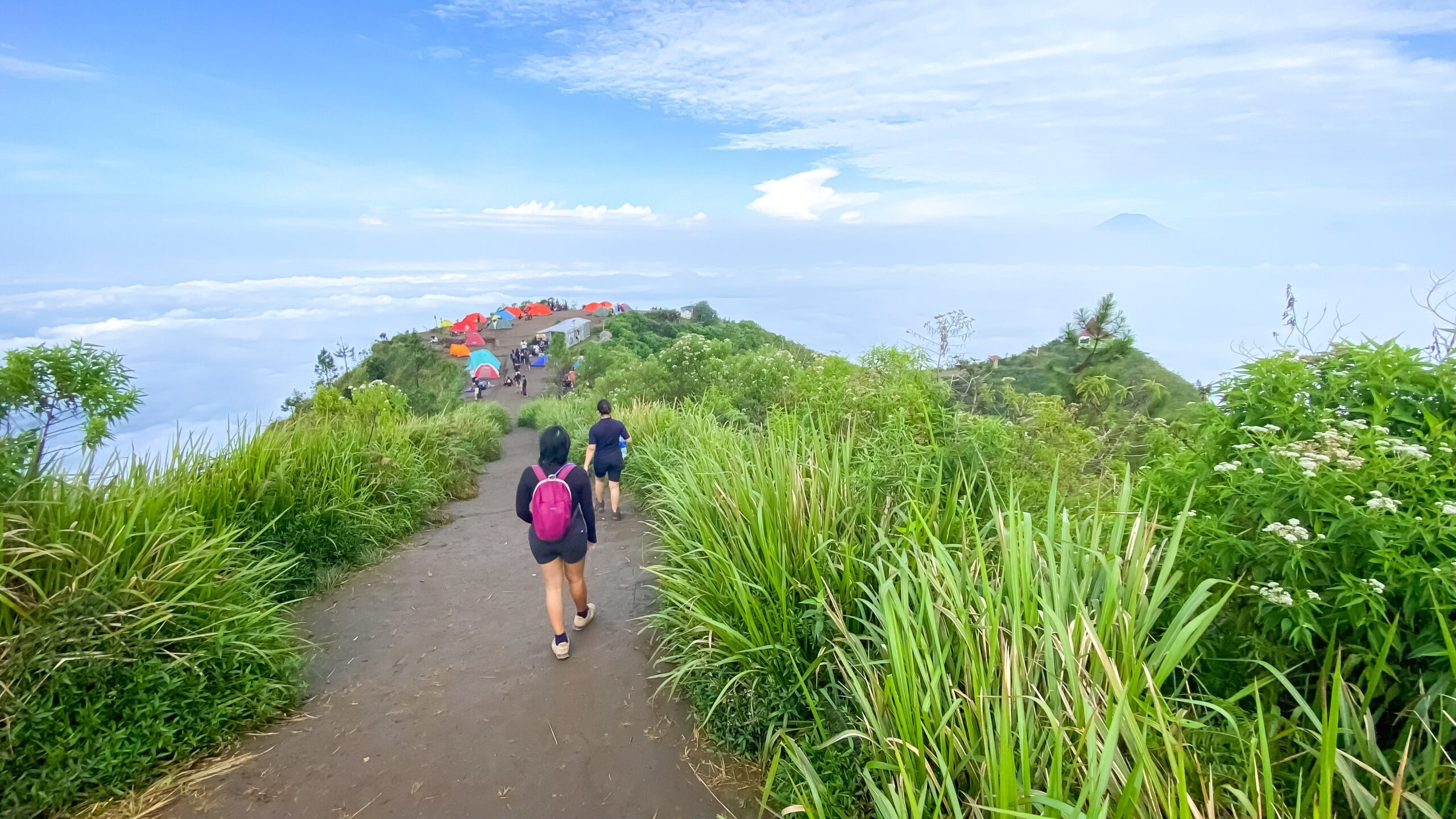 Hikers walking to a campsite on the top of Mount Andog, Central Java, Indonesia