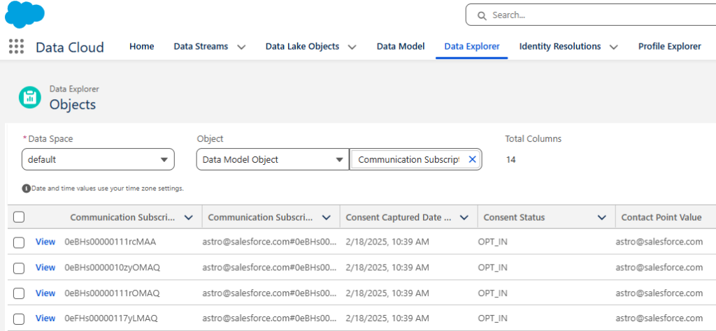 A screenshot of the Data Cloud Data Explorer Objects.