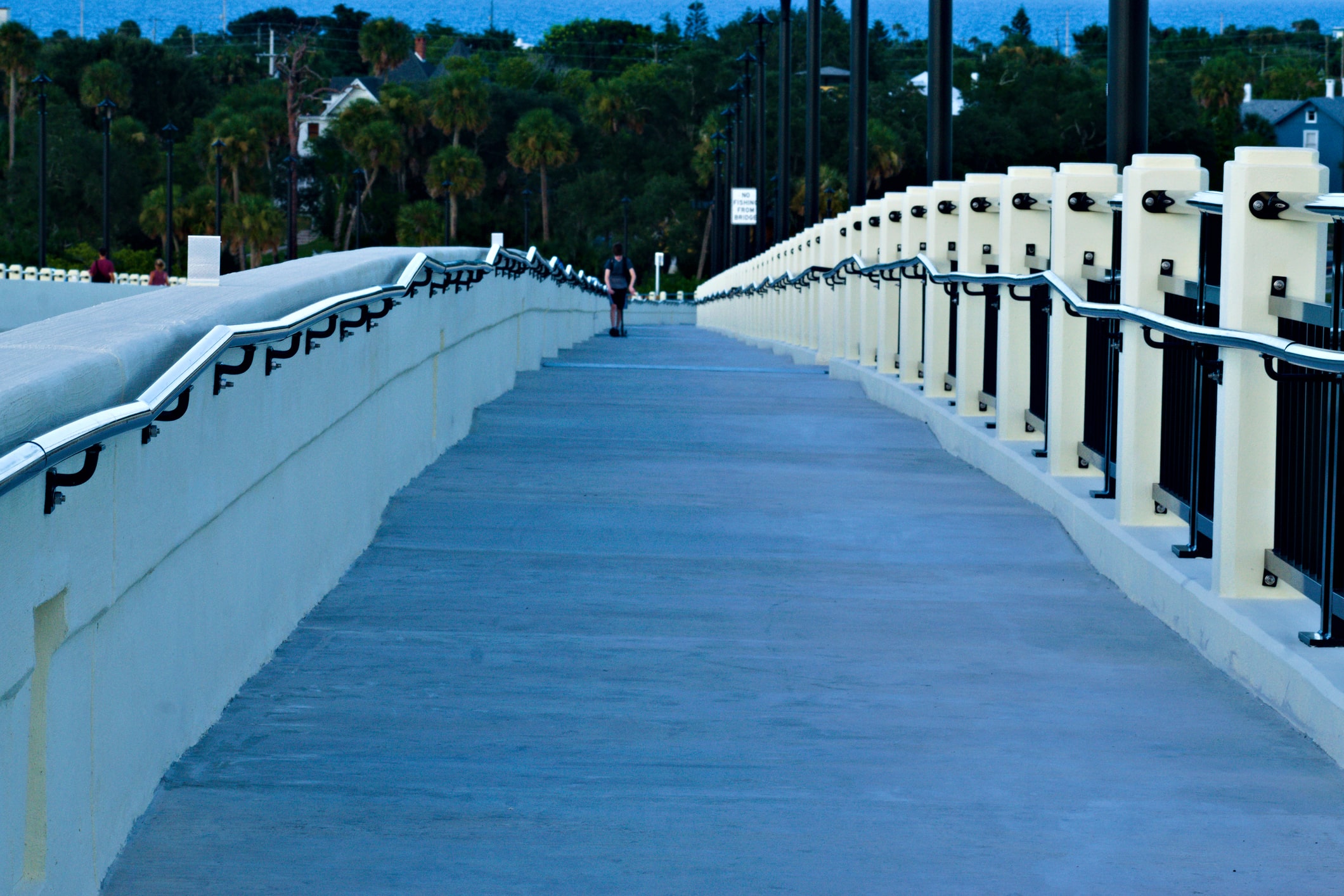 Skate boarding on a bridge