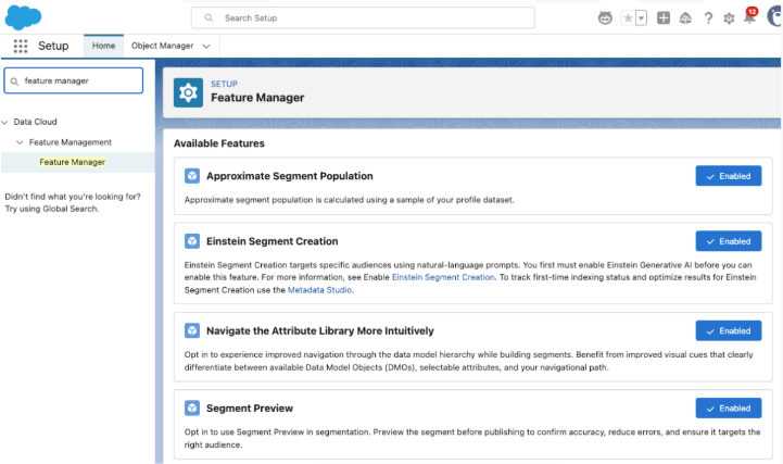 A screenshot of the Feature Manager screen in Setup with all of the following features Enabled: Approximate Segment Population, Einstein Segment Creation, Navigate the Attribute Library More Intuitively, and Segment Preview.