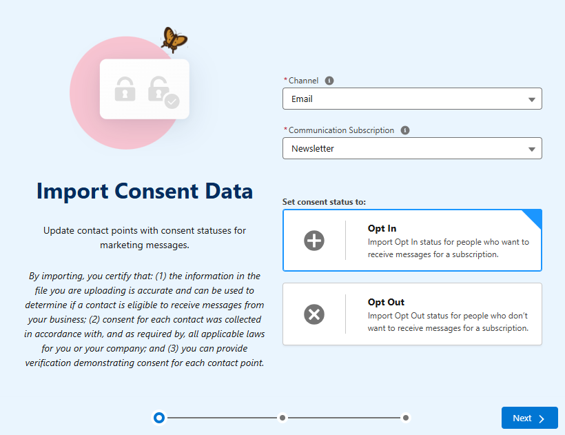Importing consent data with opt in and opt out options