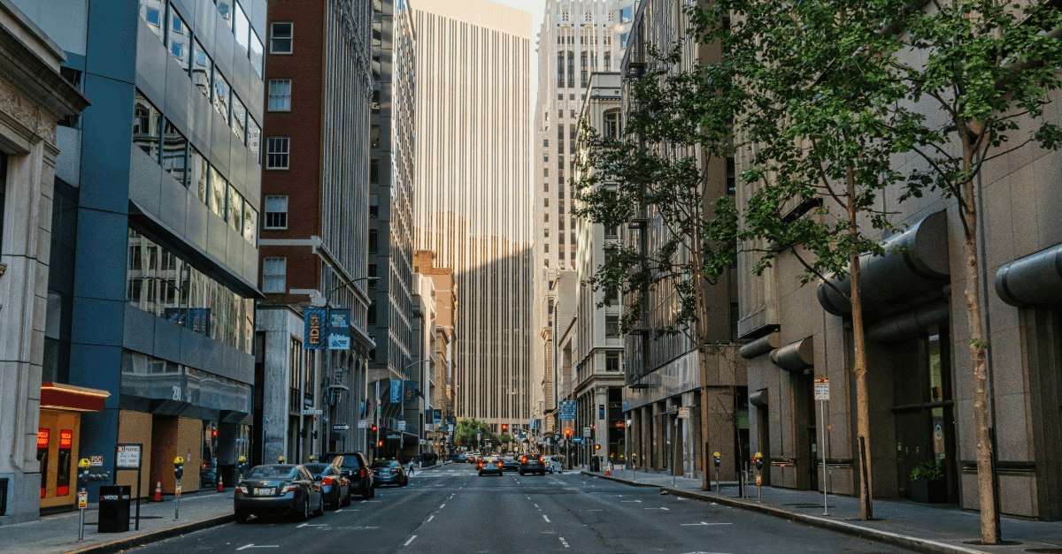Cars Parked on the Side of the Road in the City
