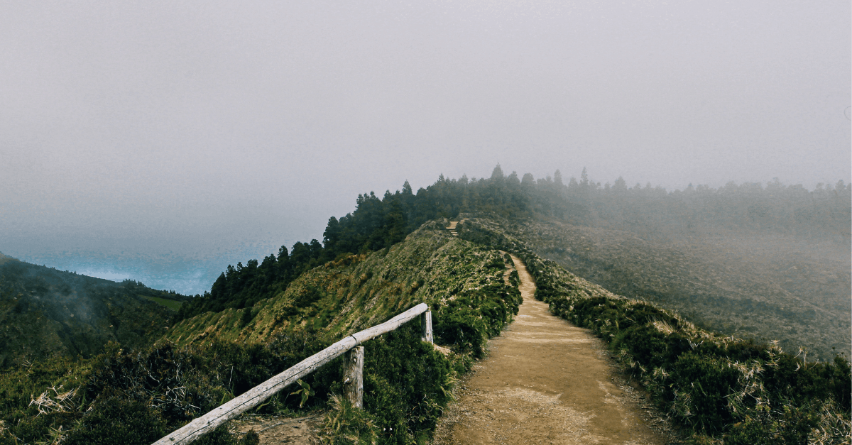 Foggy Hiking Pathway